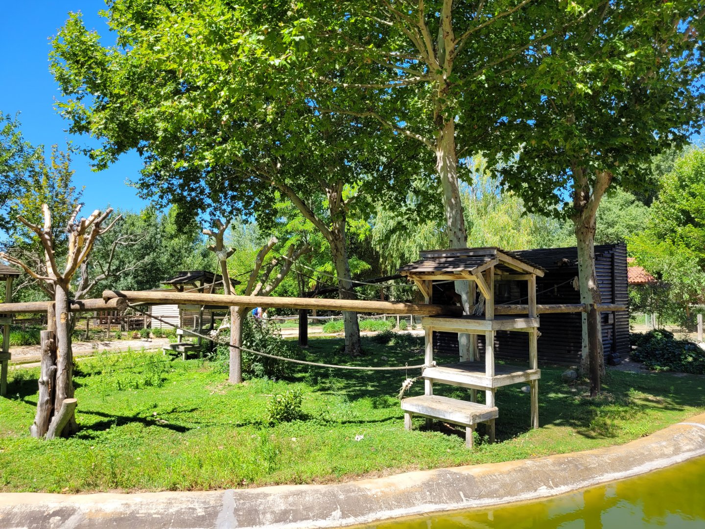 Tufted capuchin, Capybara and Red-eared slider exhibit -Sendaviva (2024)