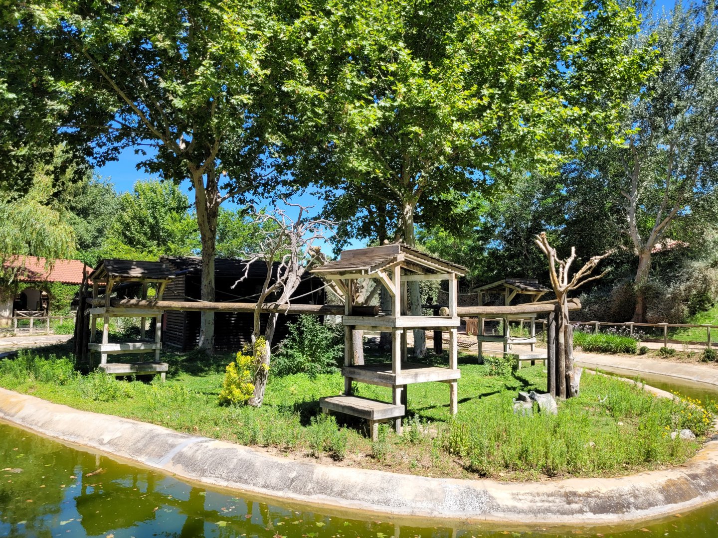 Tufted capuchin, Capybara and Red-eared slider exhibit -Sendaviva (2024)