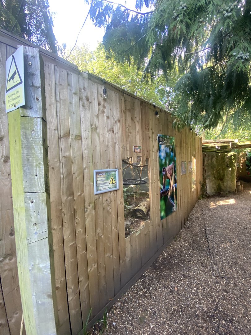 Tufted capuchin enclosure 290723