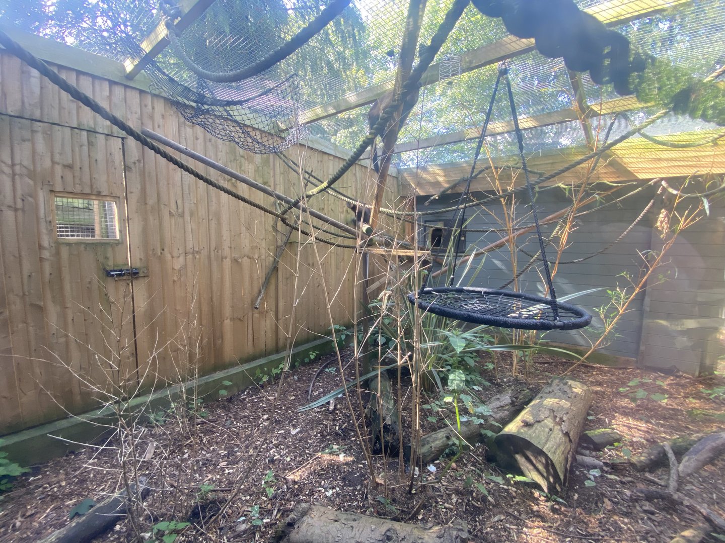 Tufted capuchin enclosure 290723