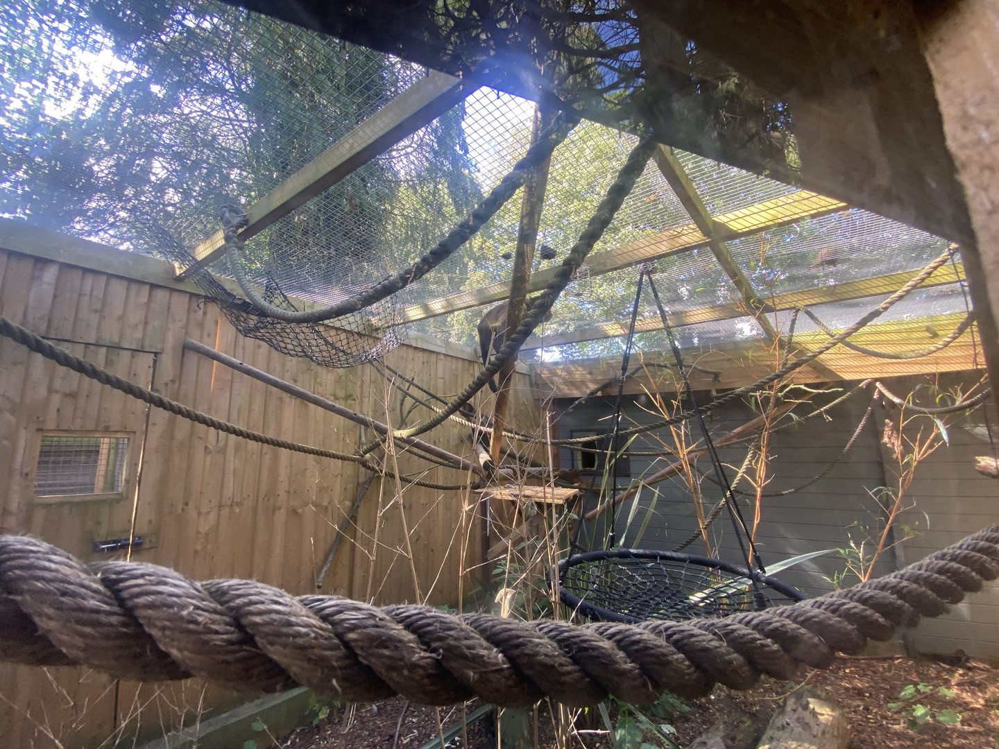 Tufted capuchin enclosure 290723