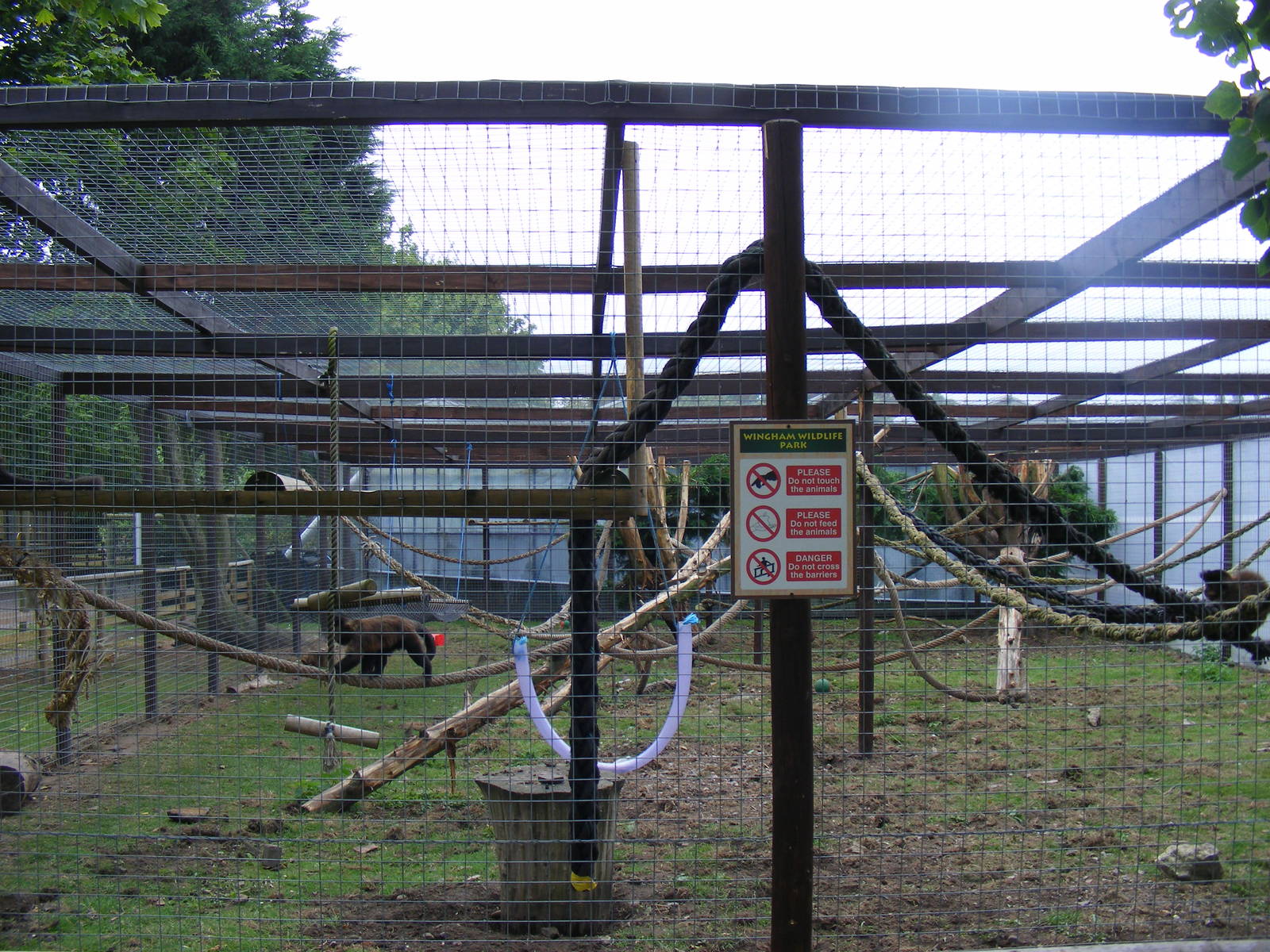 Tufted capuchin enclosure at Wingham Wildlife Park, 15 August 2010