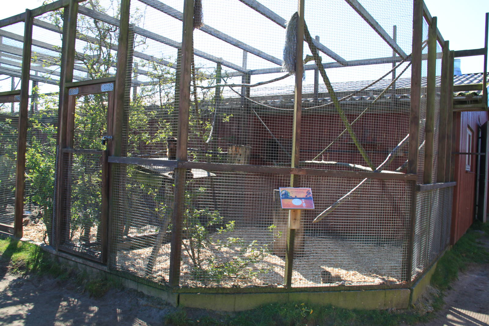 Tufted Capuchin Enclosure