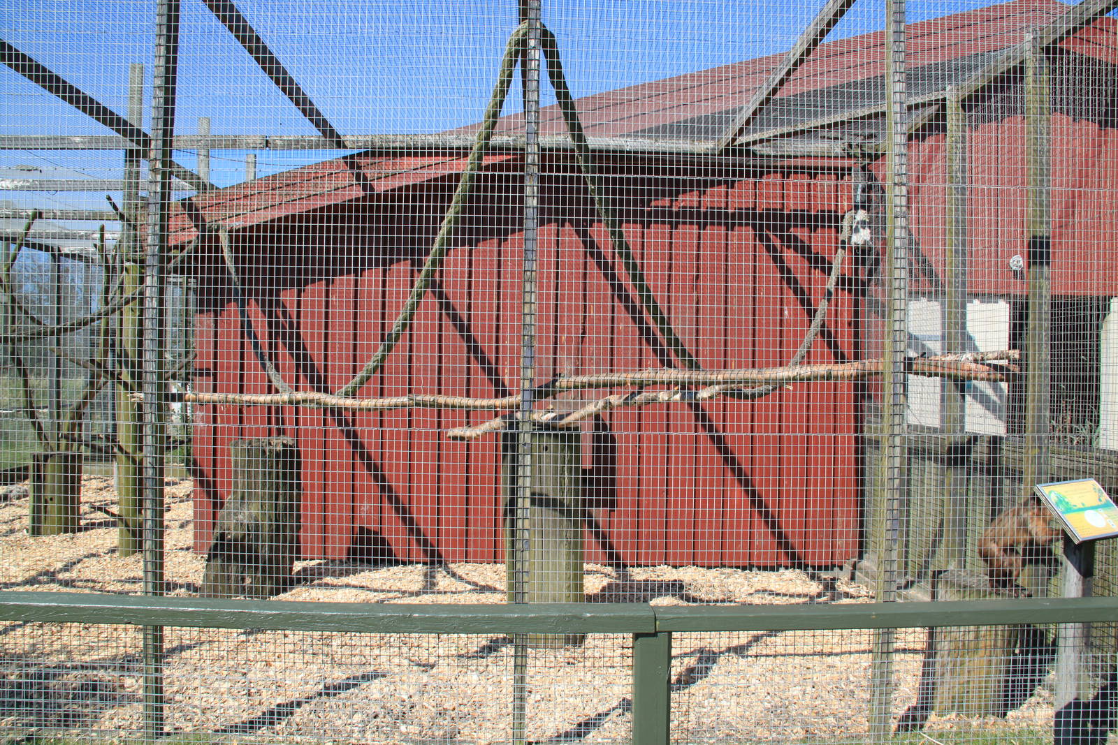 Tufted Capuchin Enclosure