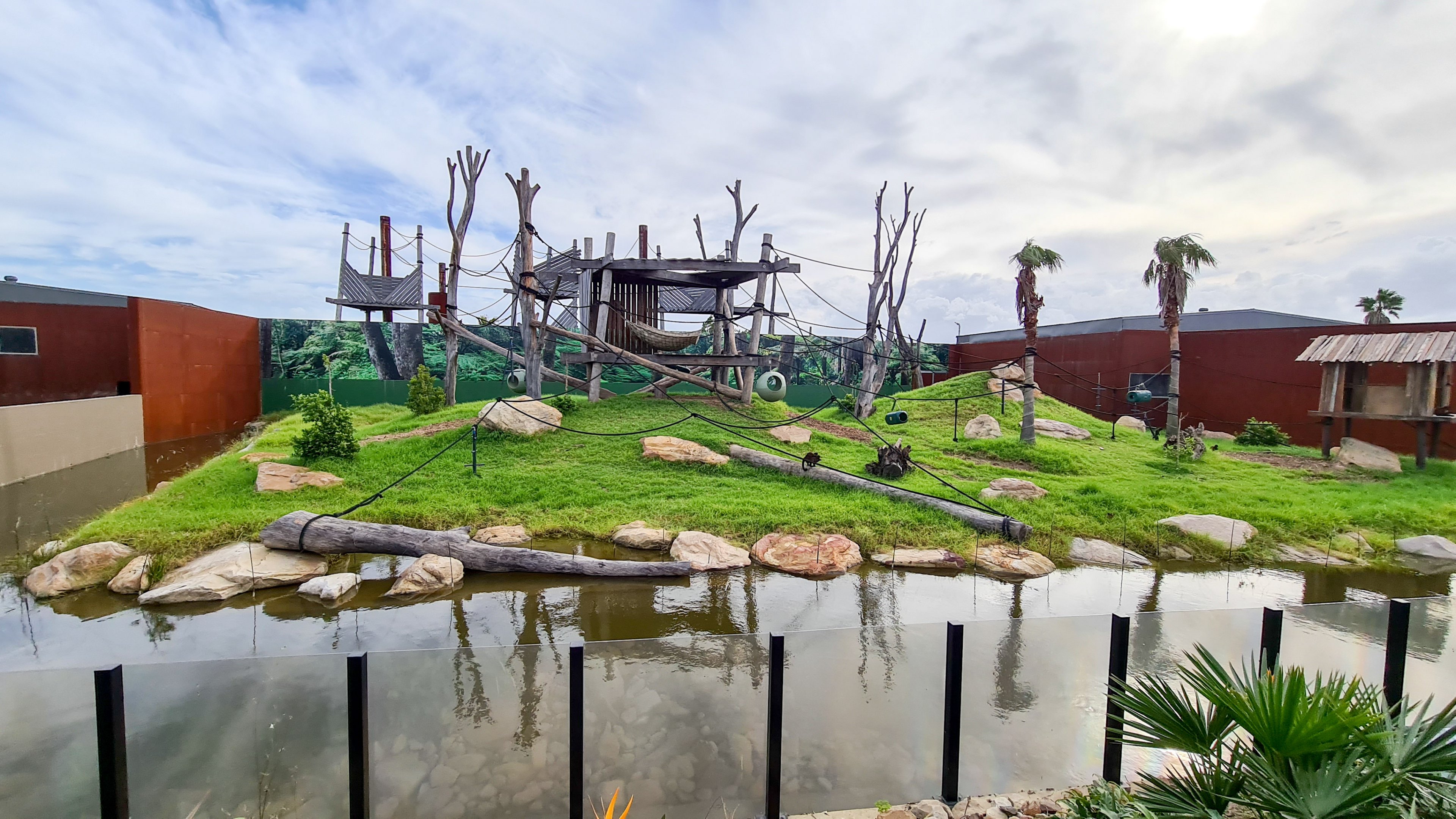 Tufted capuchin enclosure