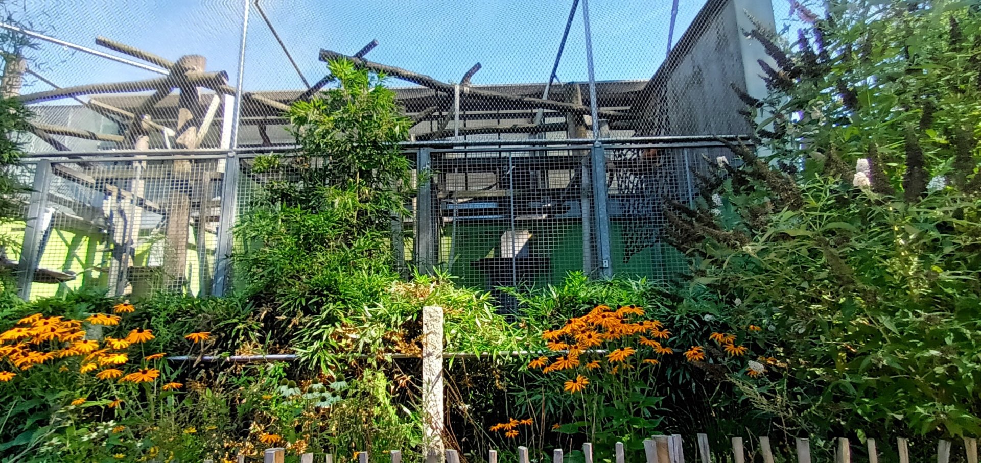 Tufted Capuchin Enclosure