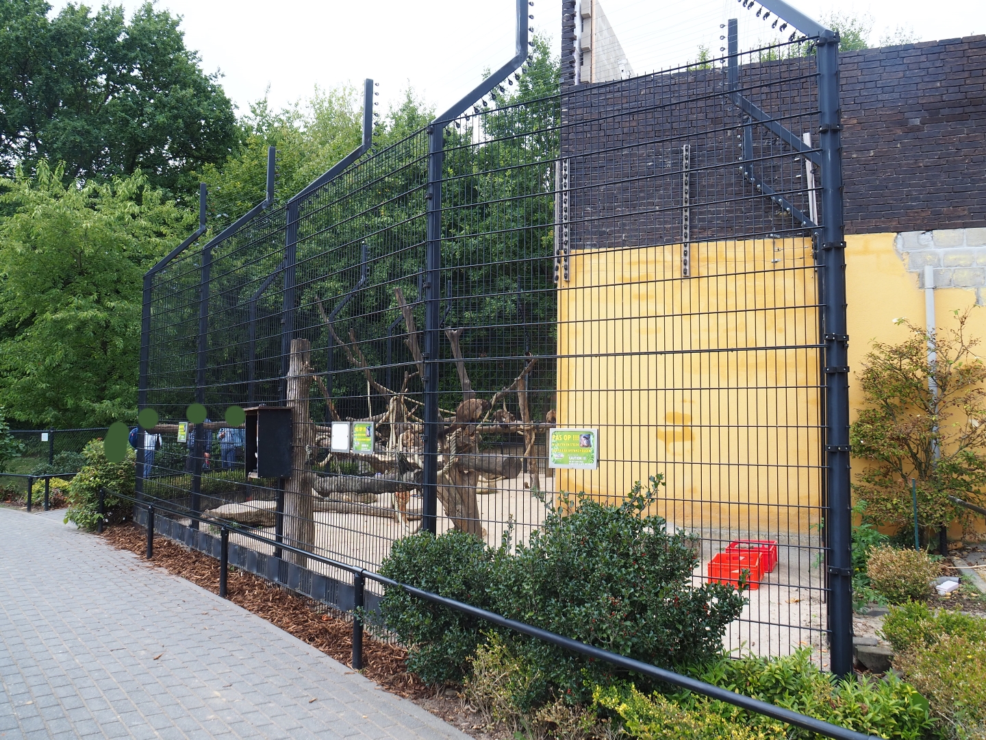 Tufted capuchin exhibit (Aug 28th, 2018)