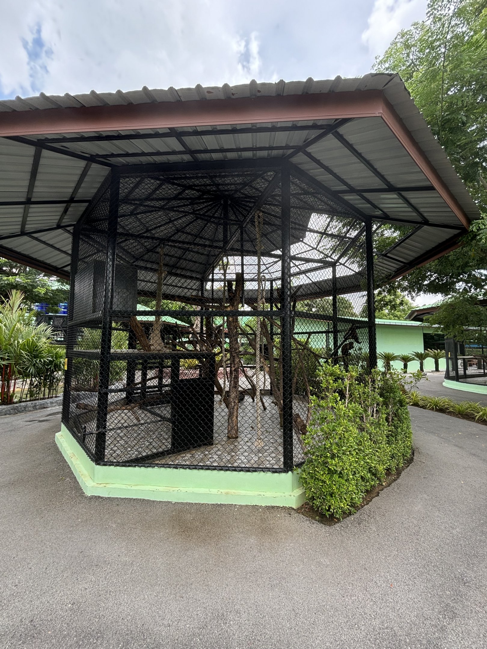 Tufted Capuchin Exhibit - Lion Park