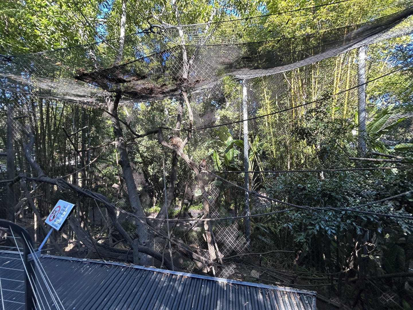 Tufted Capuchin Exhibit - Monkey Trails & Forest Tales