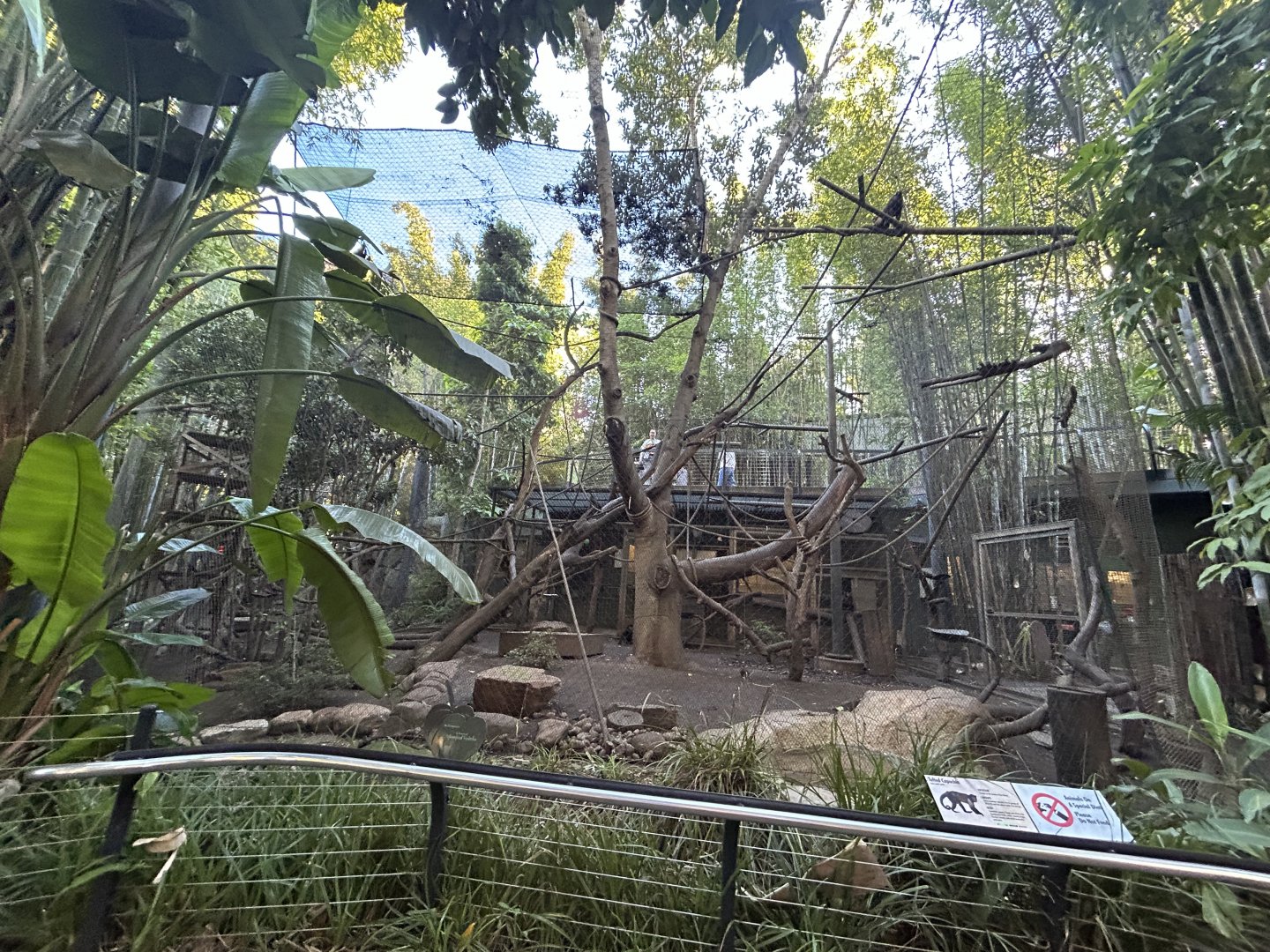 Tufted Capuchin Exhibit - Monkey Trails & Forest Tales