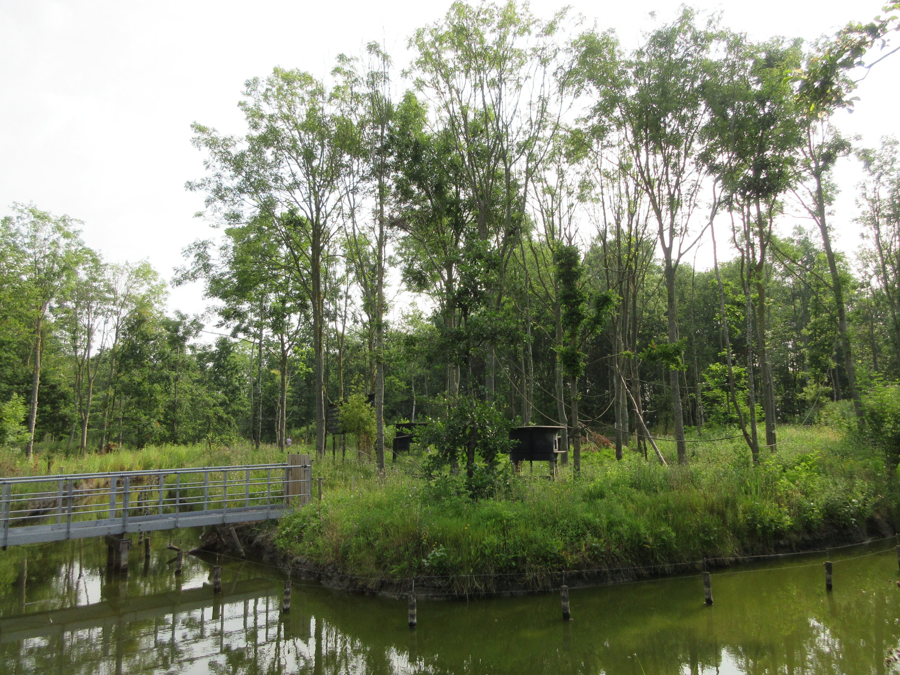 Tufted Capuchin Exhibit