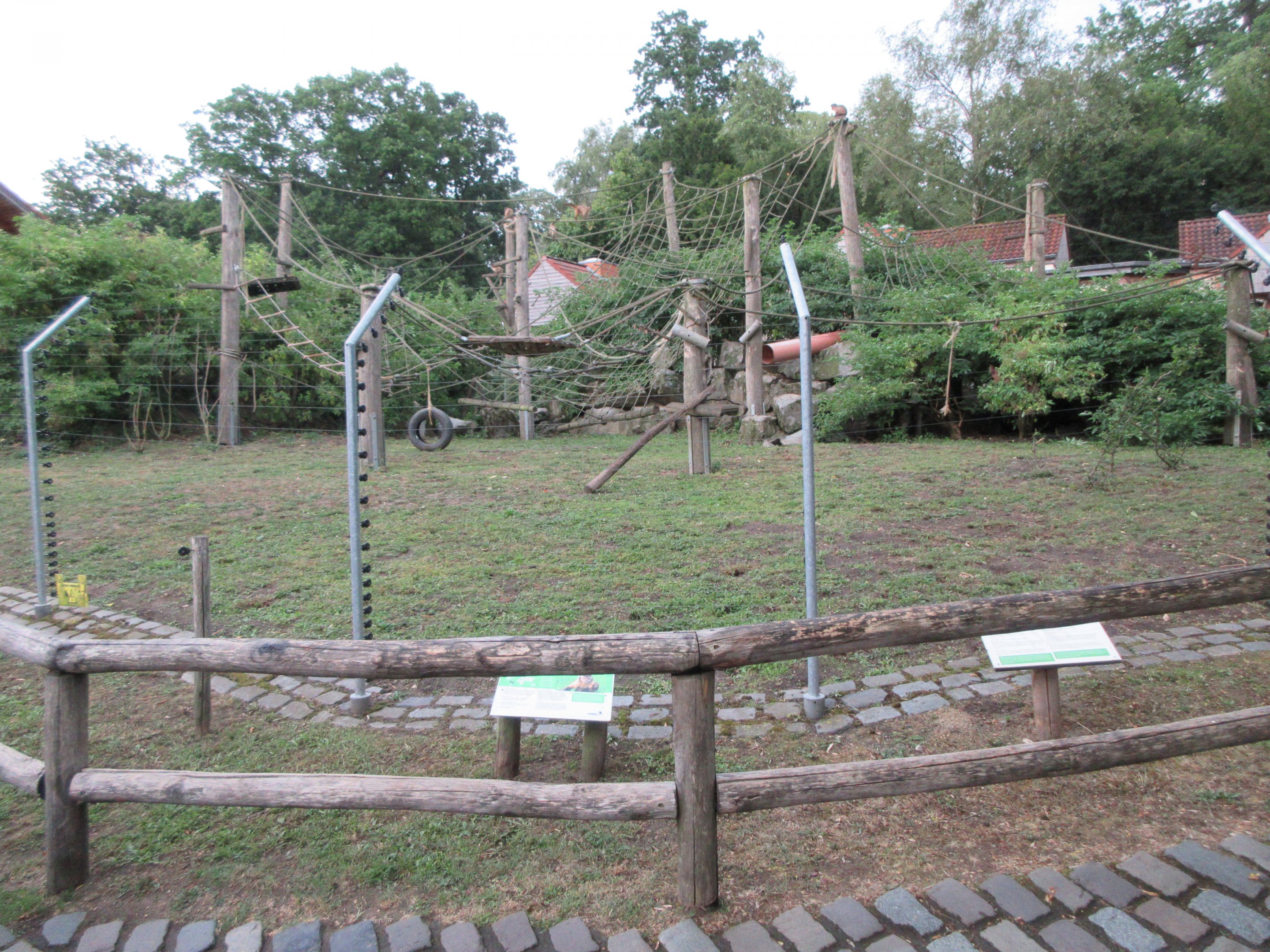 Tufted Capuchin Exhibit