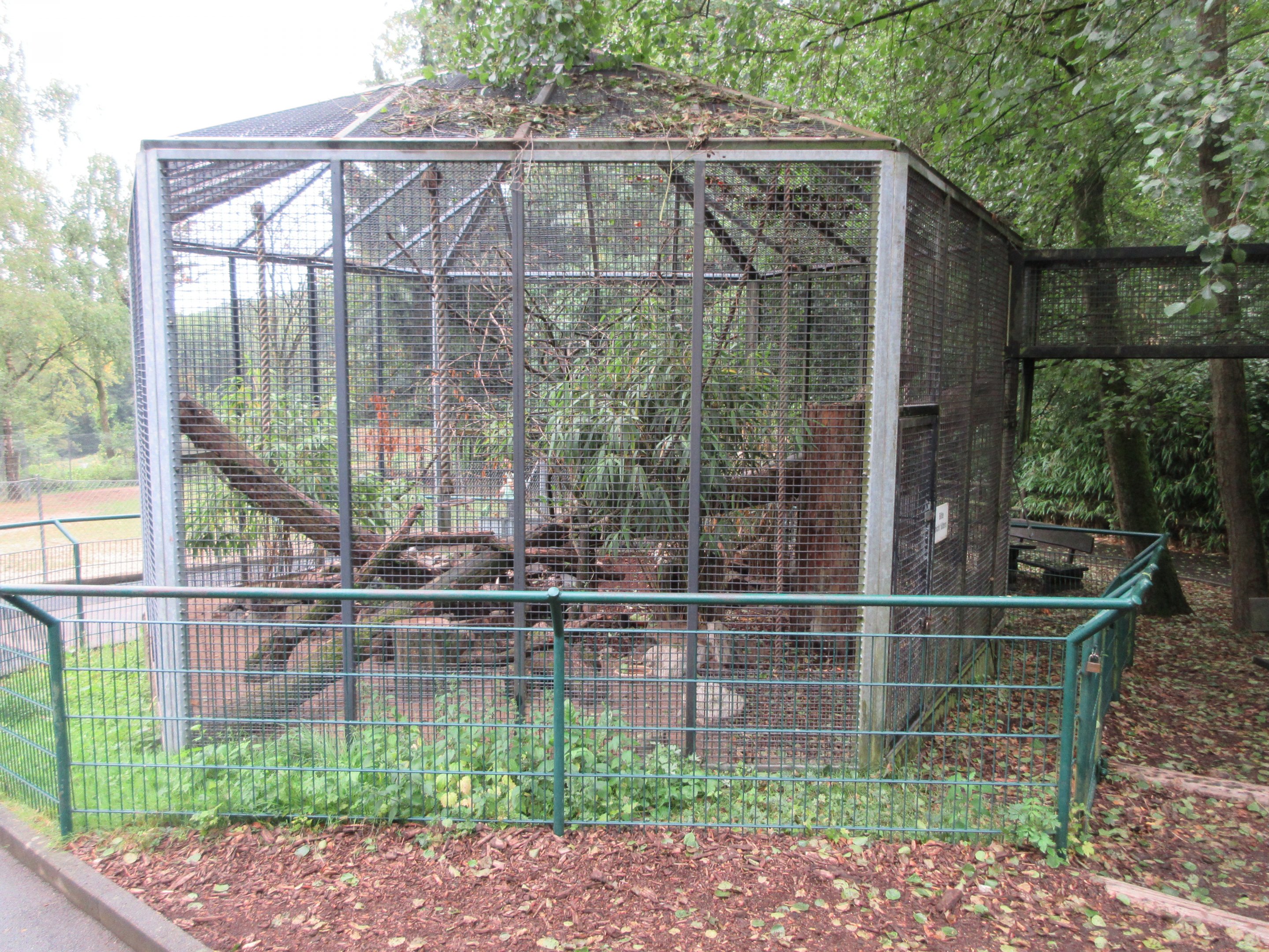 Tufted Capuchin Exhibit
