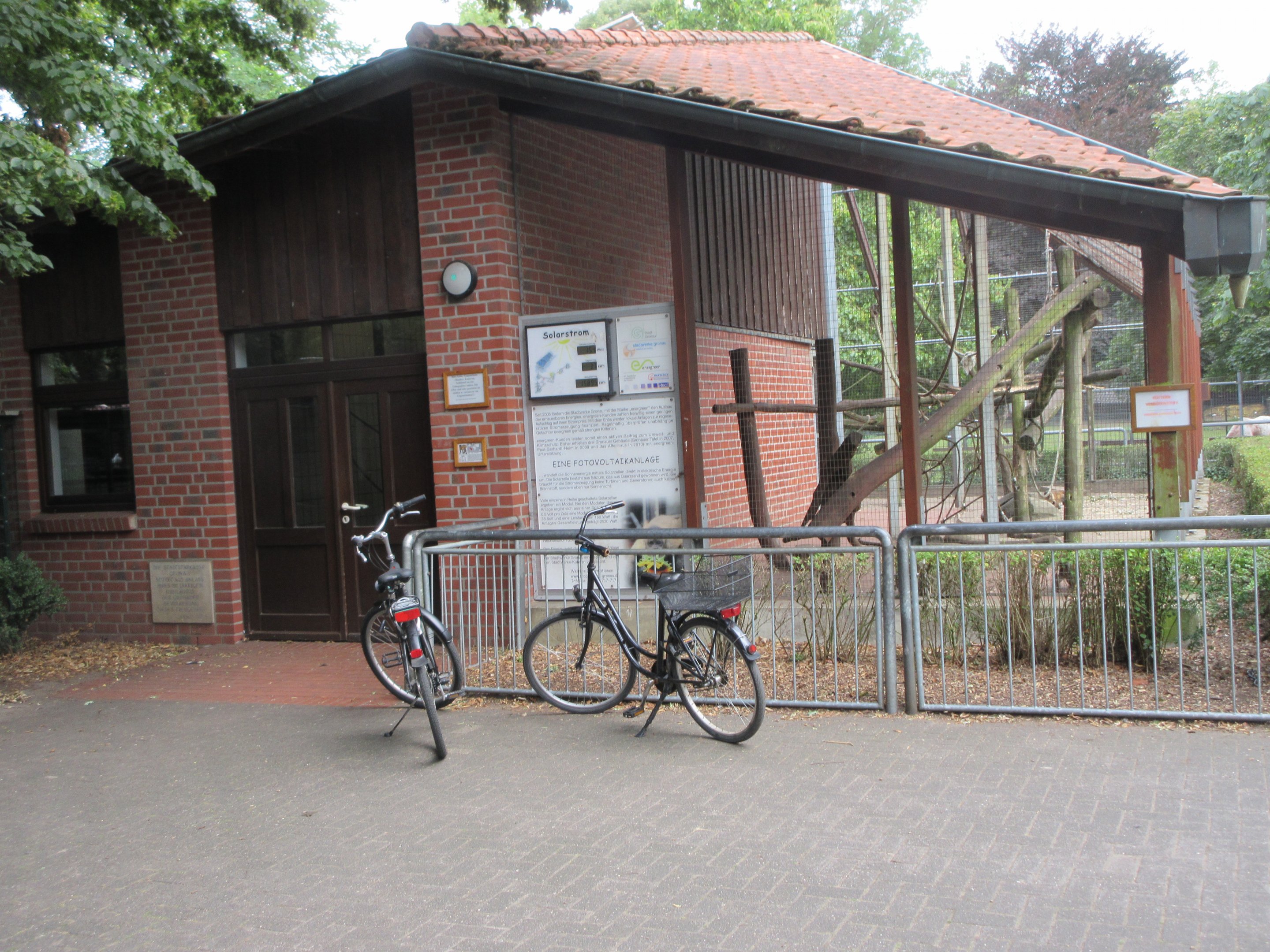 Tufted Capuchin Exhibit