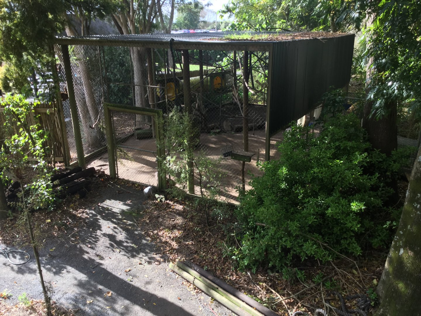 Tufted Capuchin Exhibit