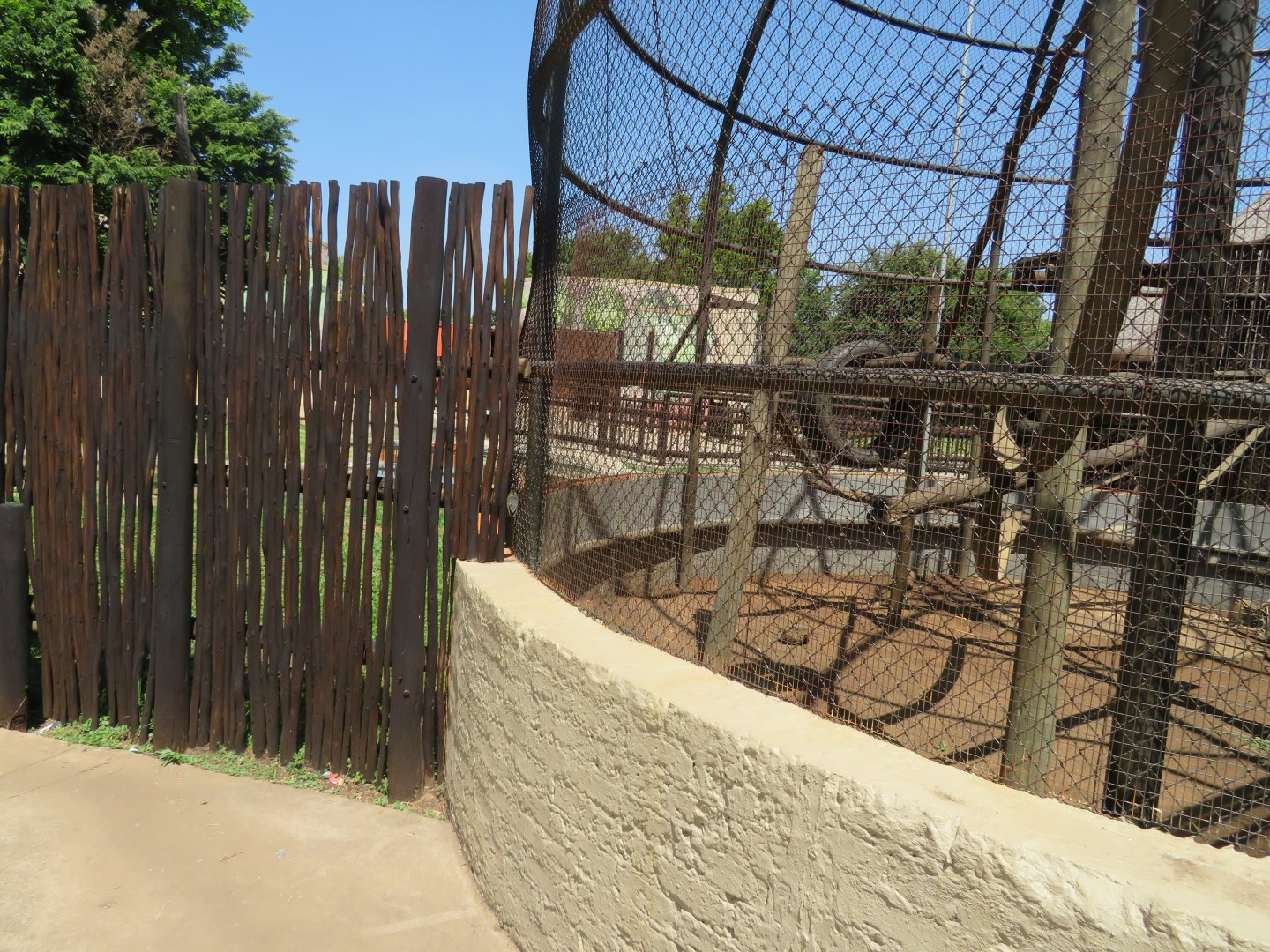 Tufted Capuchin Exhibit
