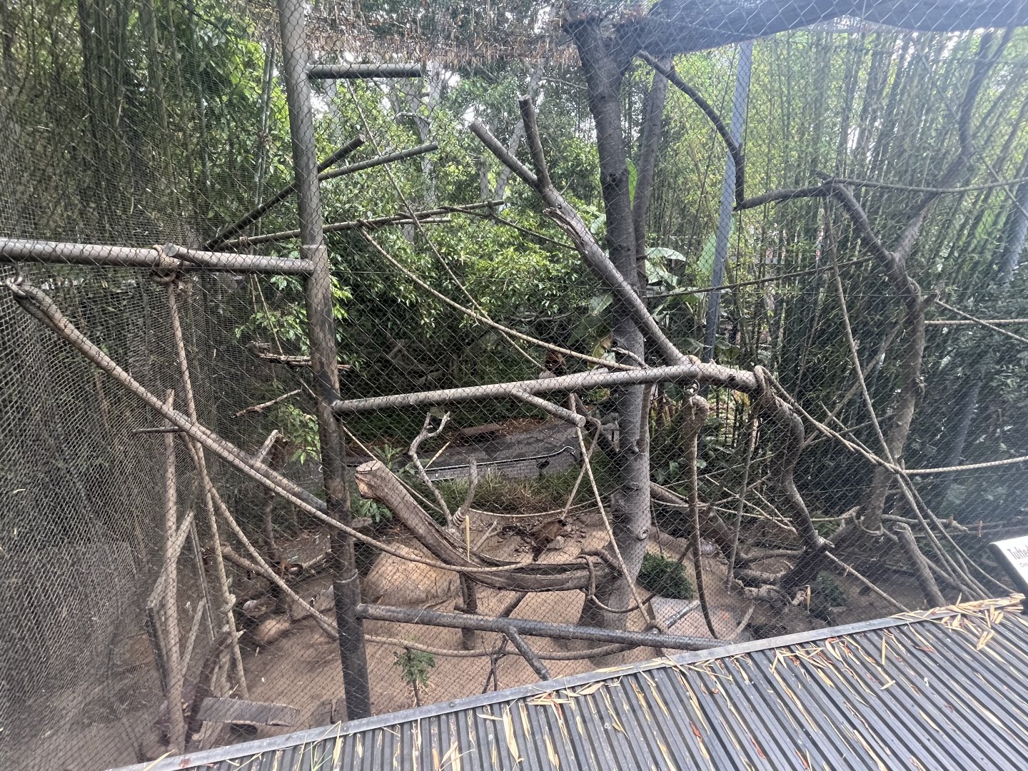 Tufted Capuchin Exhibit