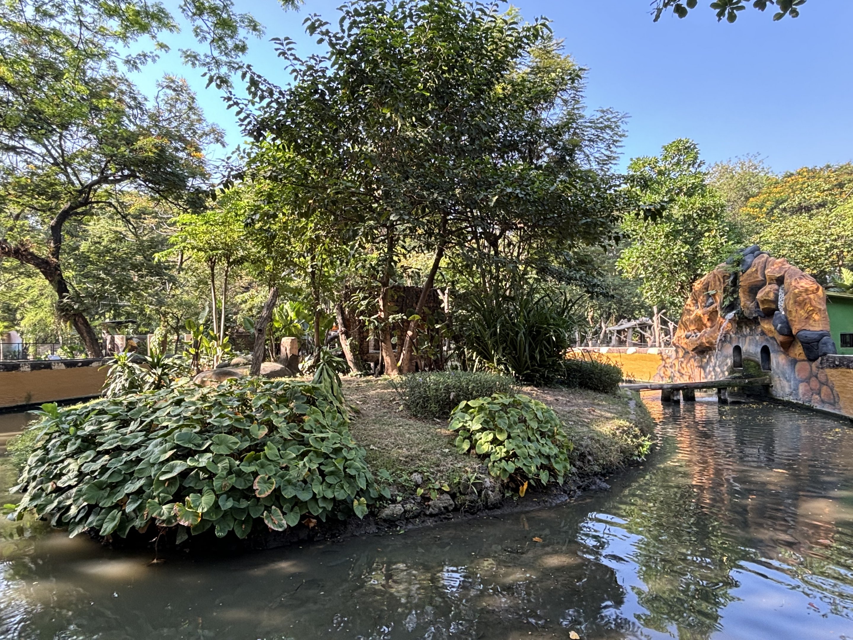 Tufted Capuchin Exhibit