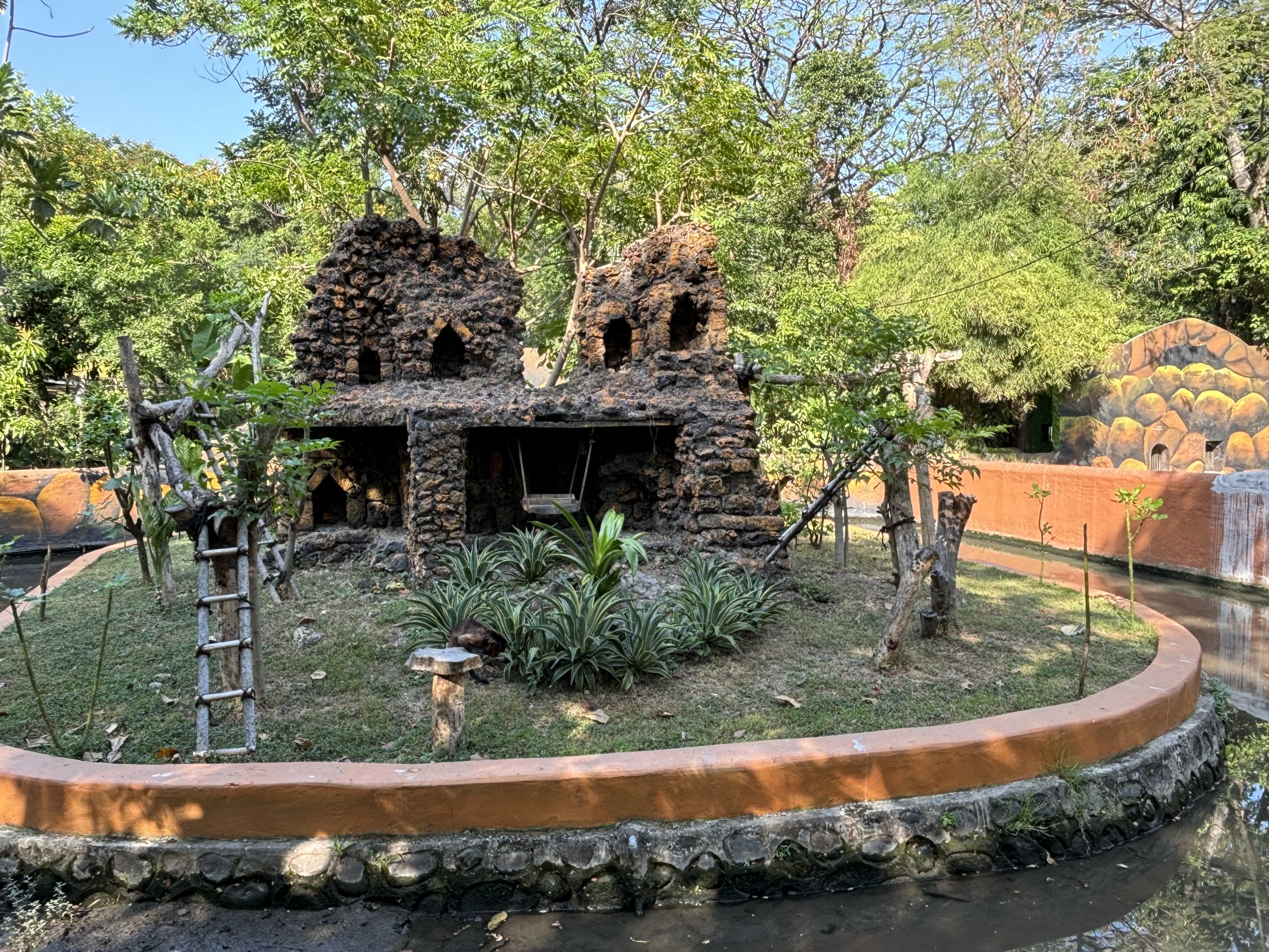 Tufted Capuchin Exhibit