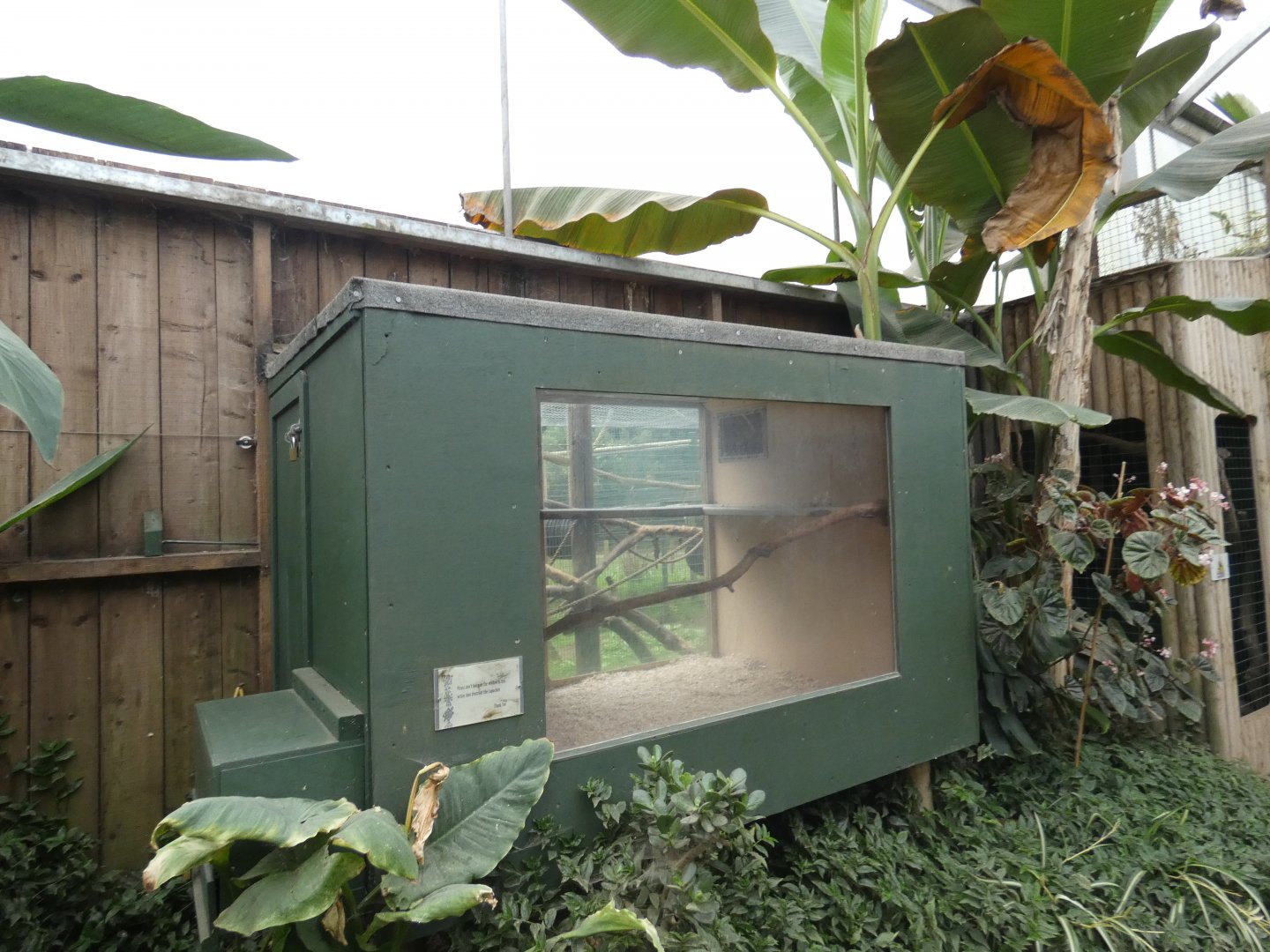 Tufted capuchin indoor enclosure