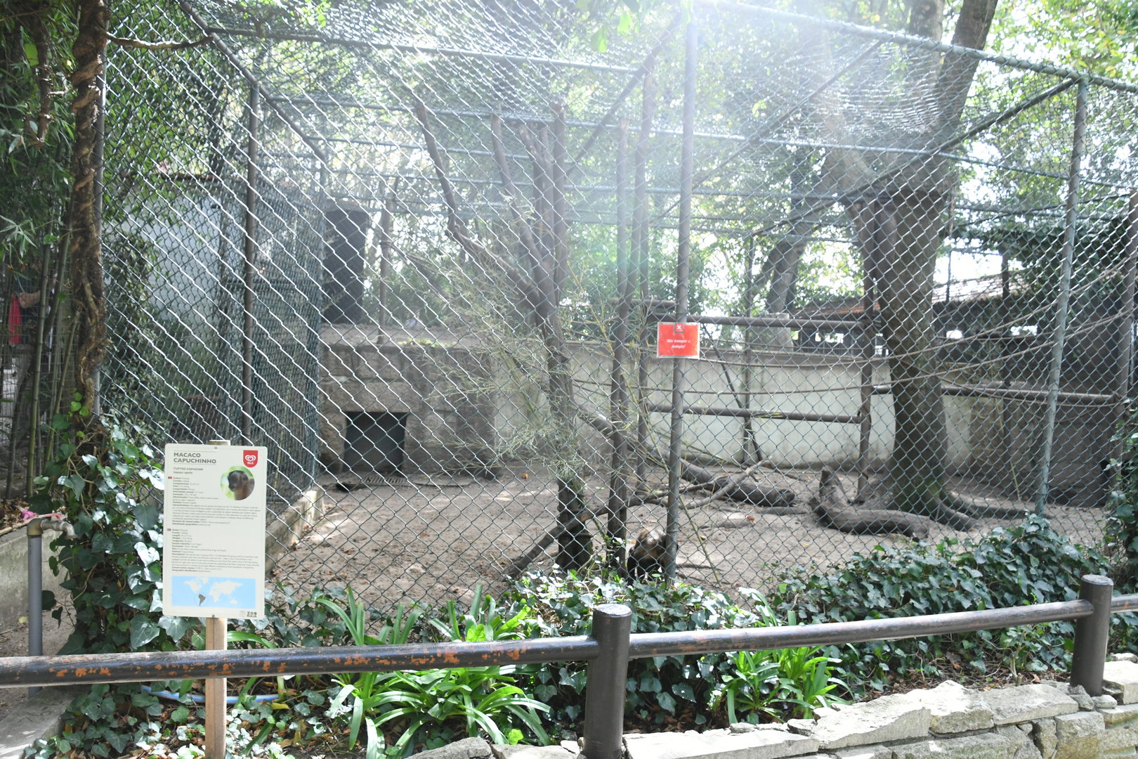 Tufted Capuchins cage