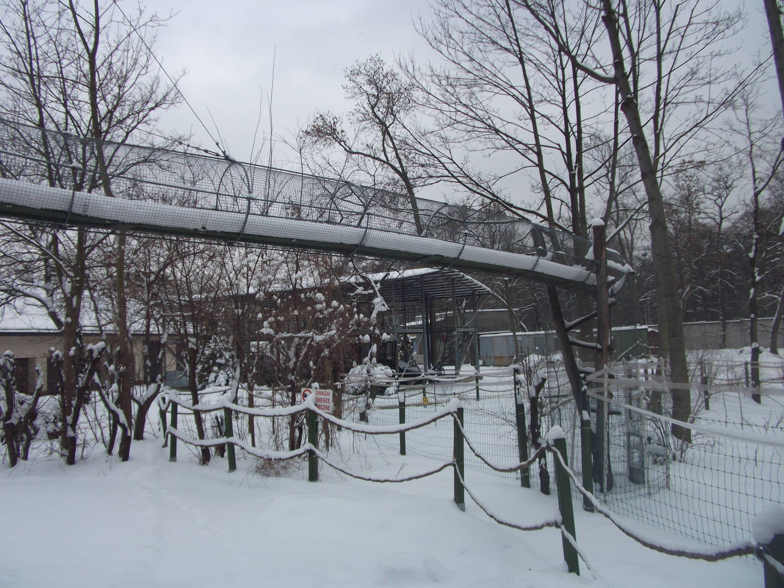 Tufted capuchin's enclosure