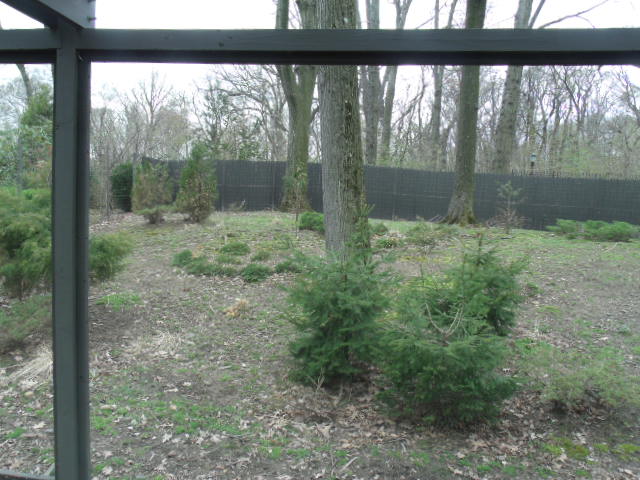 Tufted Deer Enclosure (Part 1)