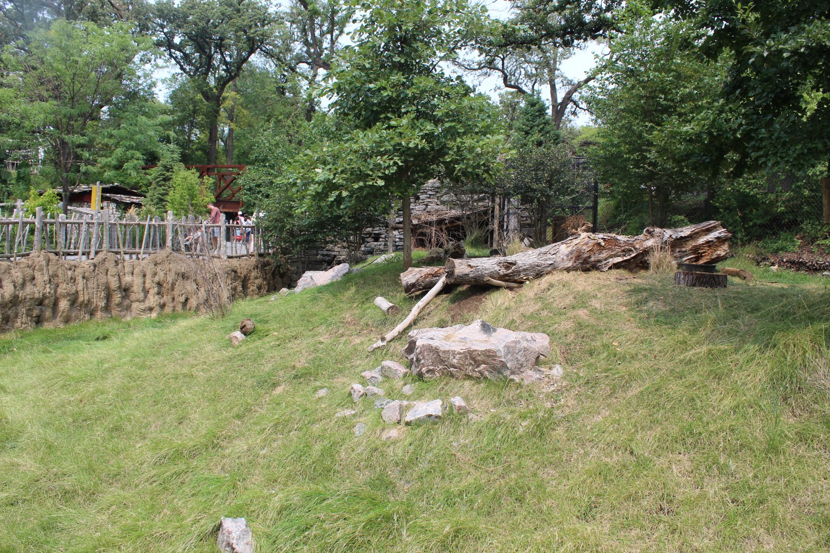 Tufted Deer Exhibit - Asian Highlands