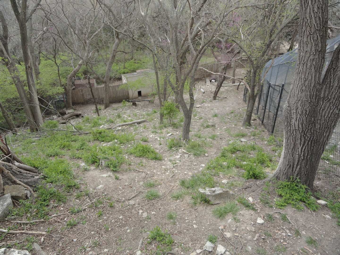Tufted Deer & Red Crowned Crane Exhibit