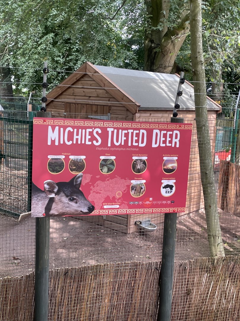 Tufted Deer Signage
