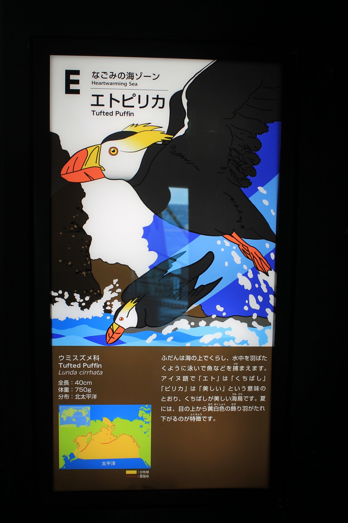 Tufted Puffin signage