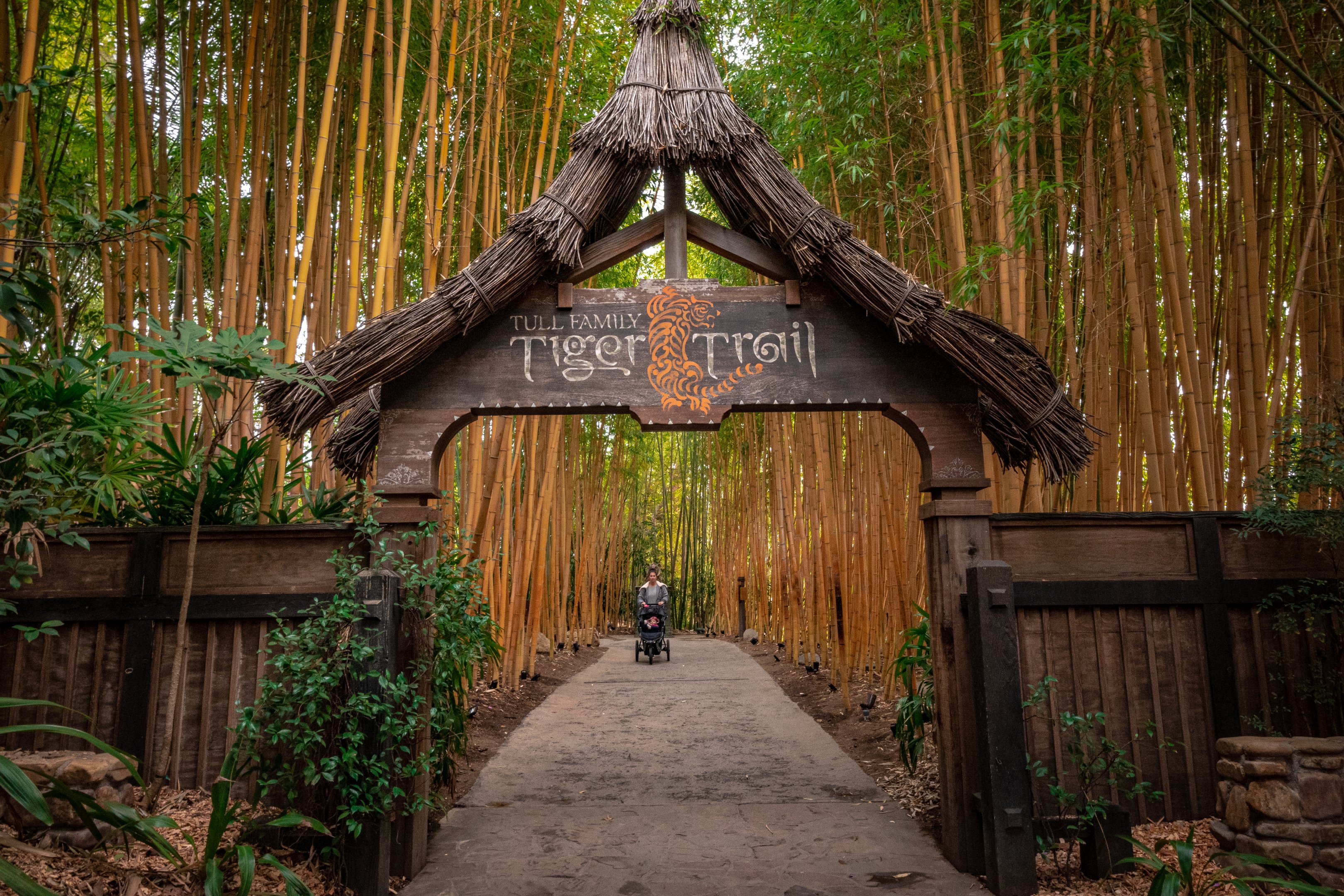 Tull Family Tiger Trail