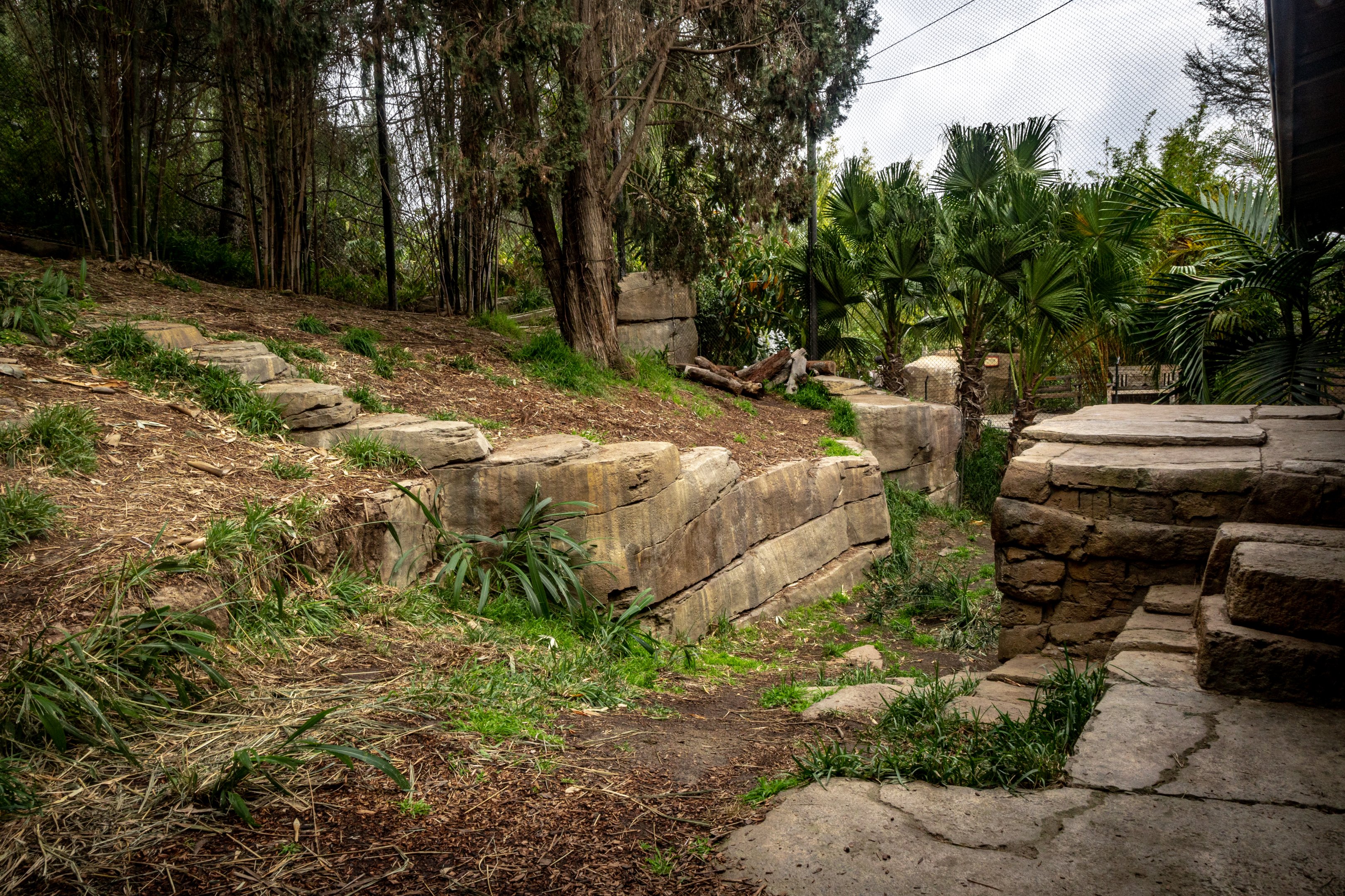 Tull Family Tiger Trail