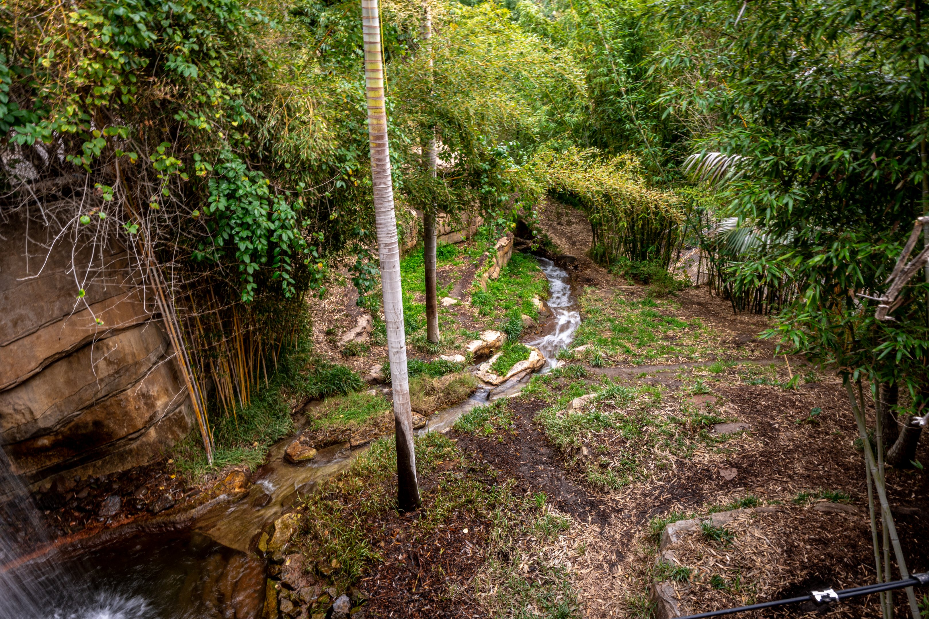 Tull Family Tiger Trail