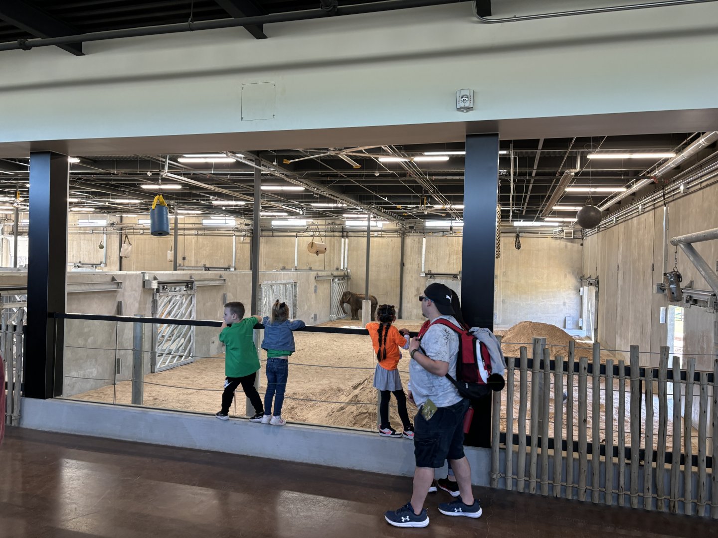 Tulsa Zoo Elephant Preserve Barn Indoor Viewing