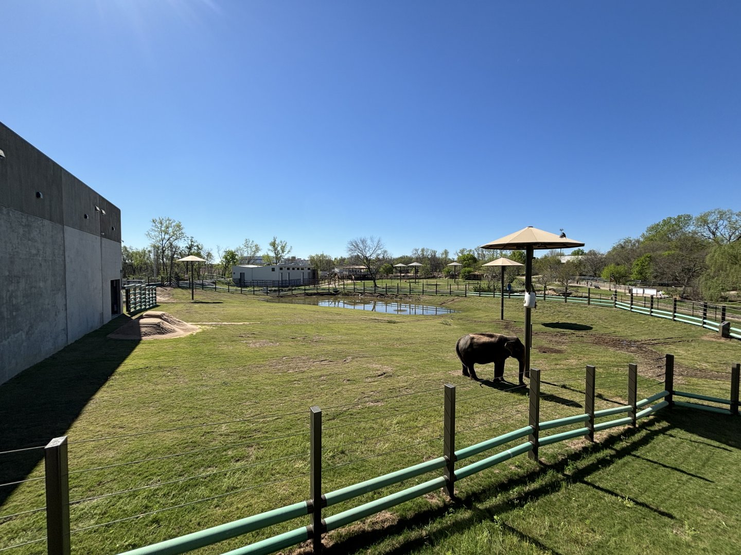 Tulsa Zoo Elephant Preserve Main Yard