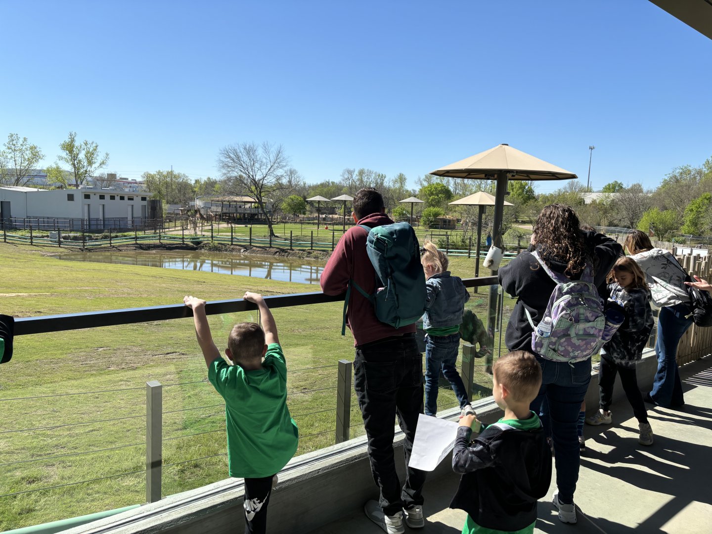 Tulsa Zoo Elephant Preserve Yard Viewing