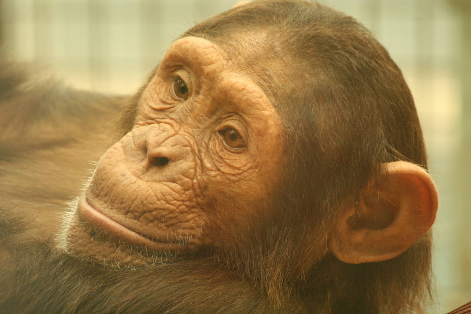 Tumba - 30 July 2010