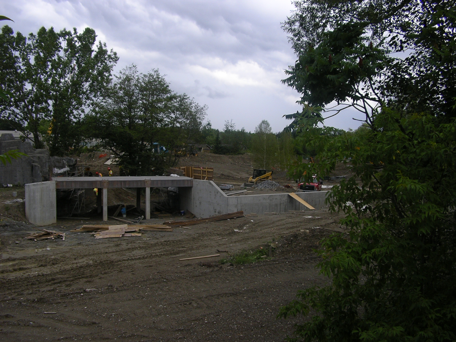 Tundra Trek, Bridge Over Arctic Wolf Exhibit