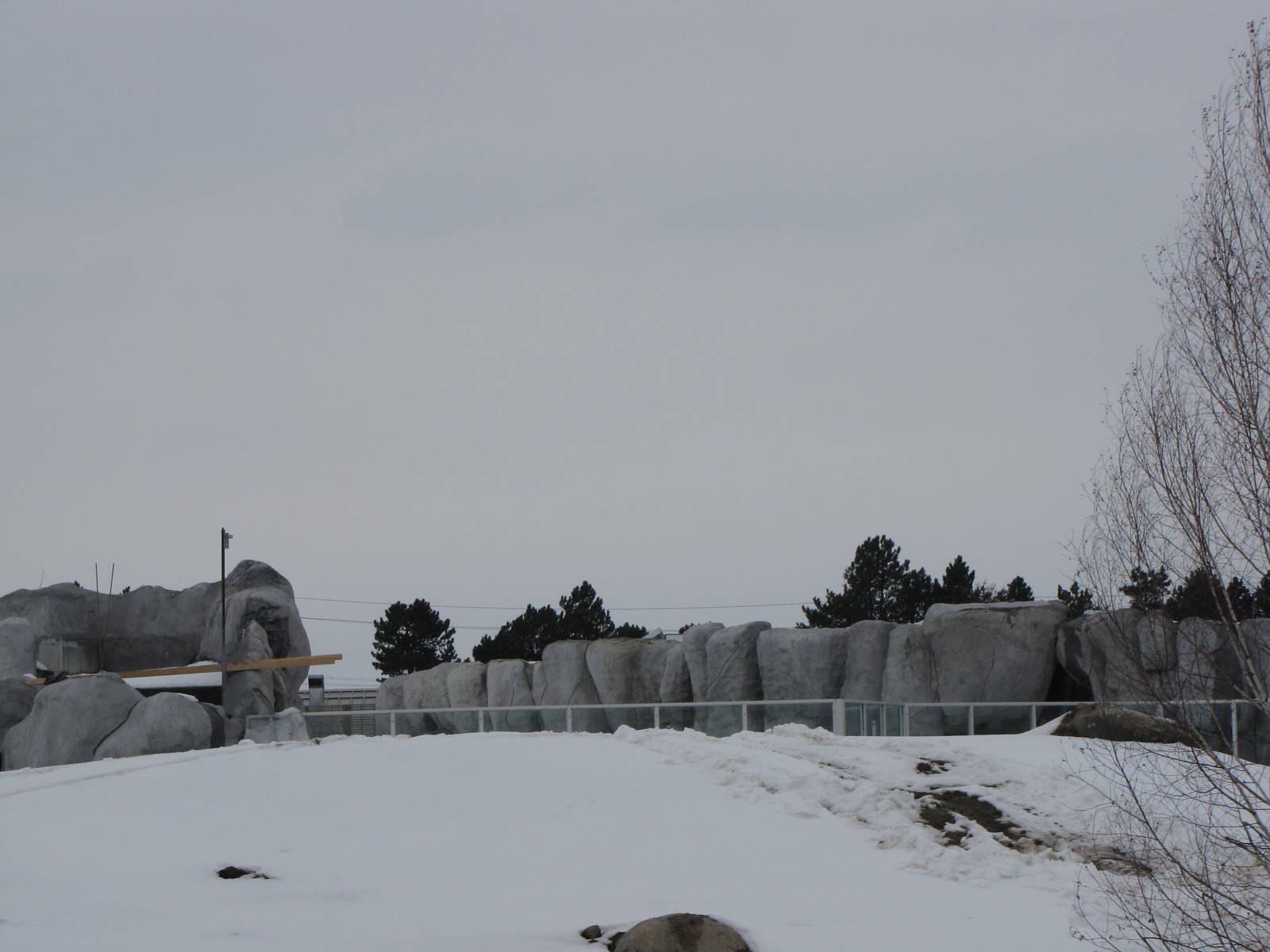 Tundra Trek Feb. 7/09