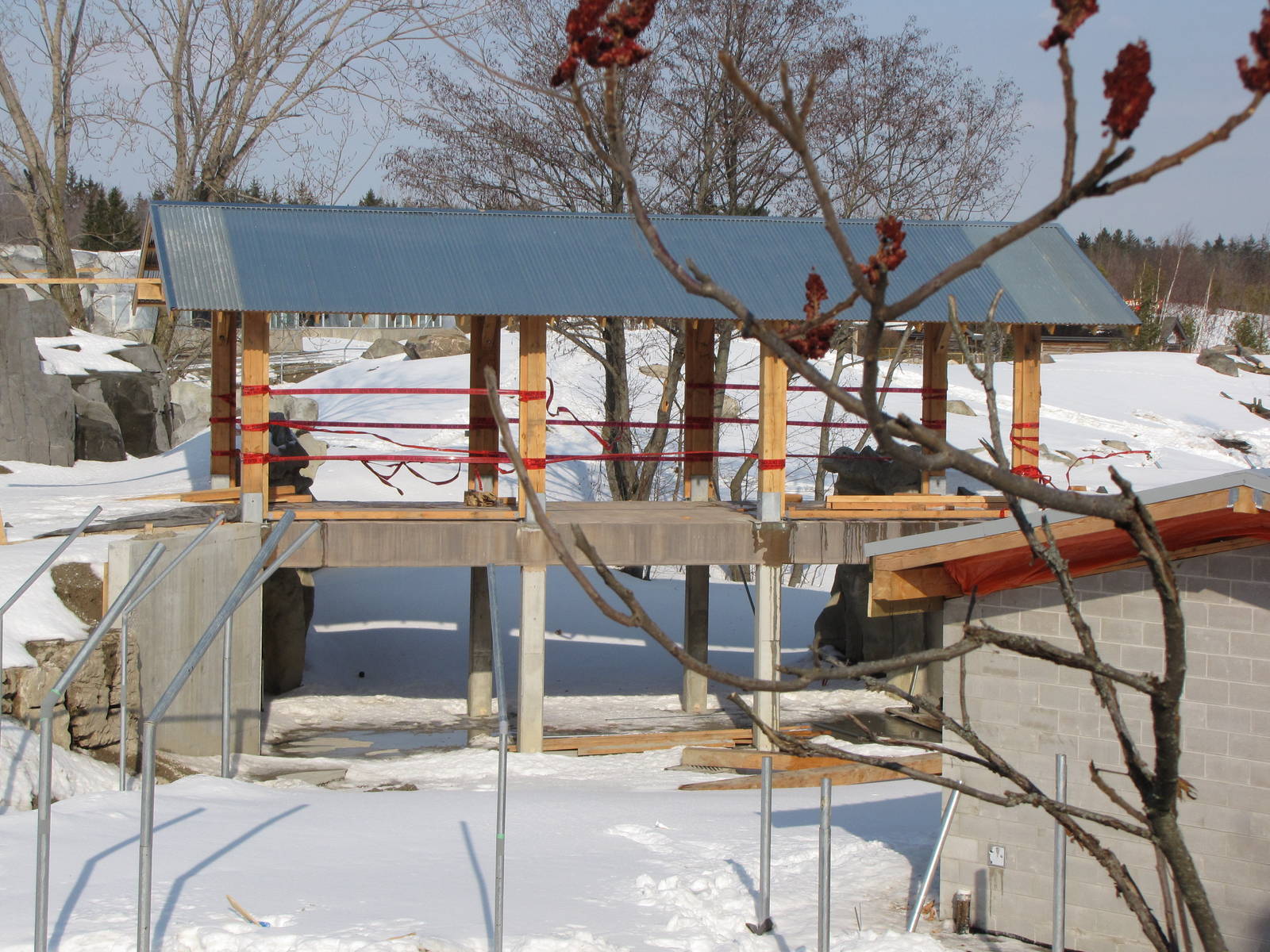 Tundra Trek Feb. 7/09