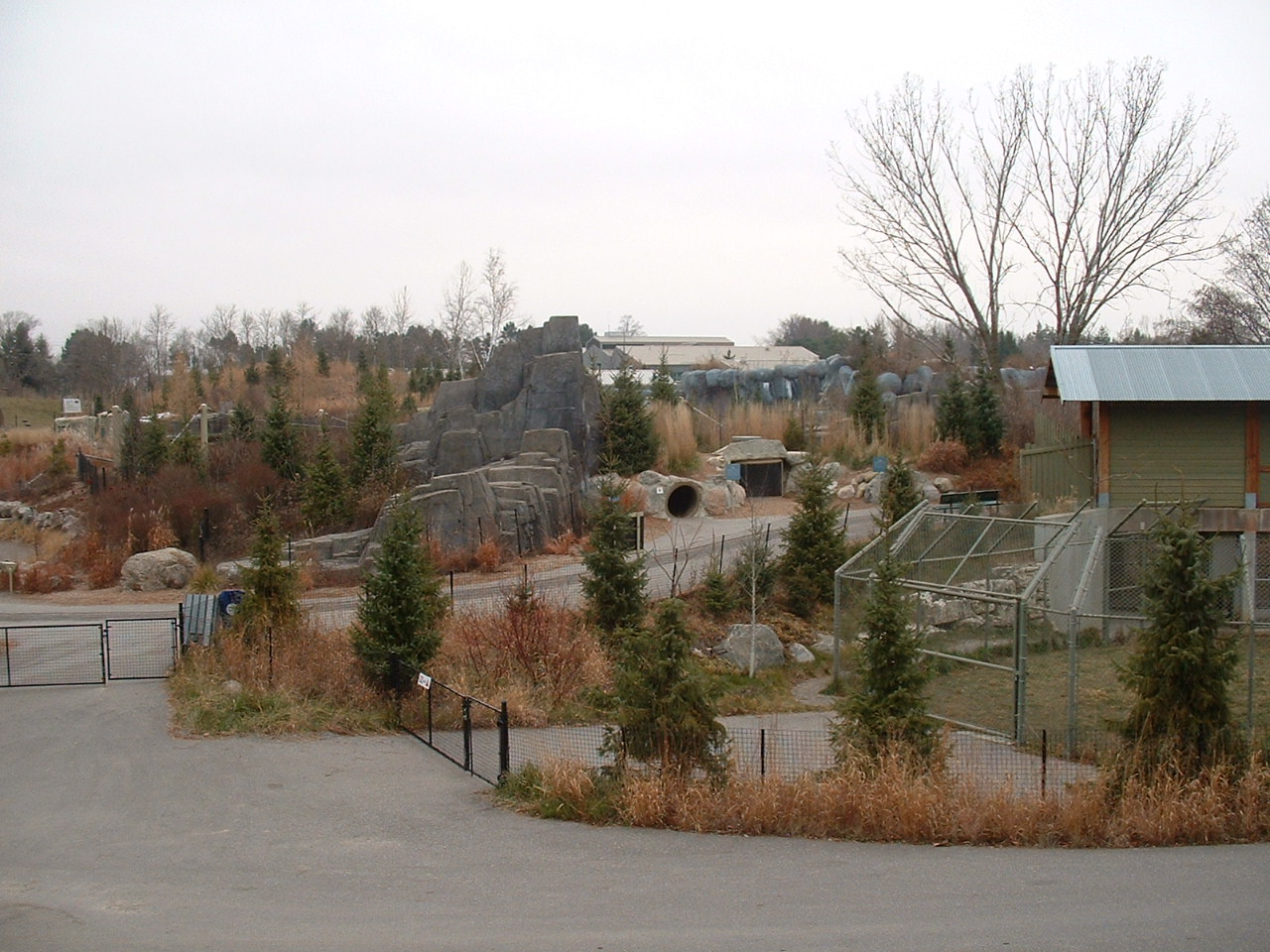 Tundra Trek - Nov 2012