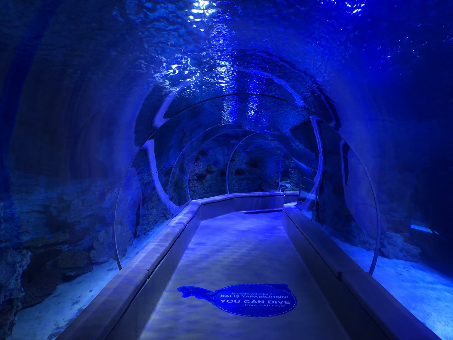 Tunnel aquarium at the Emaar aquarium