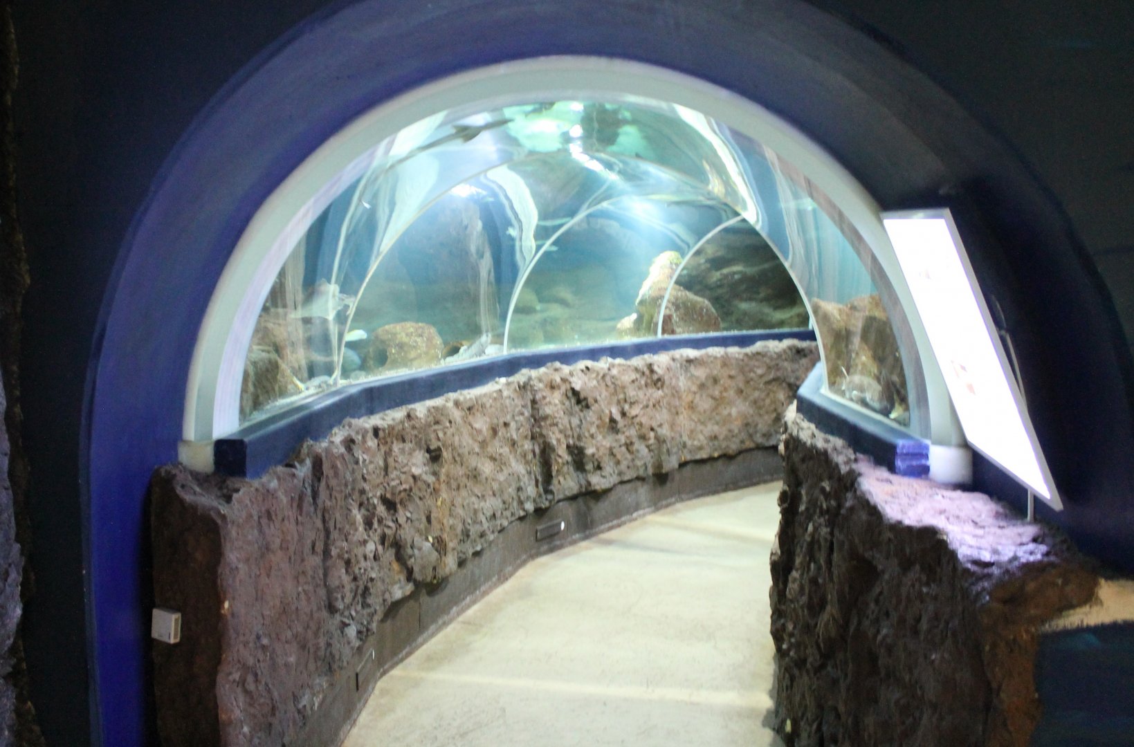Tunnel aquarium
