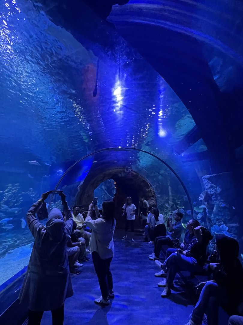 tunnel at main aquarium (1) - BX Sea