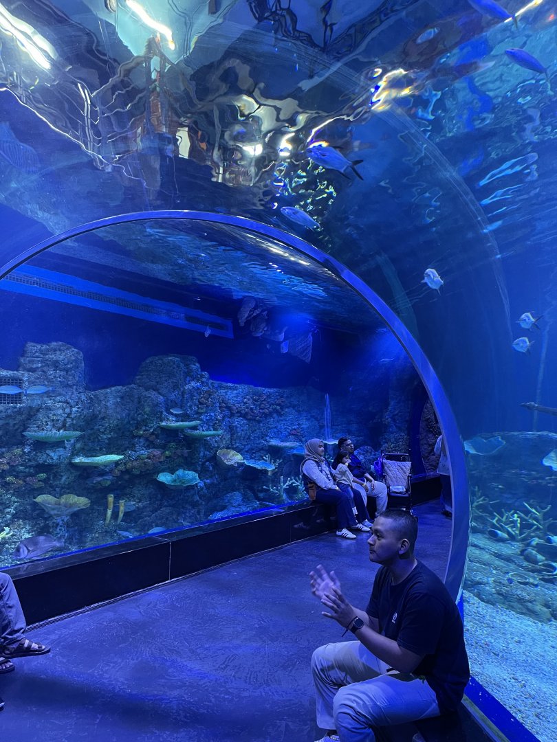 tunnel at main aquarium (2) - BX Sea