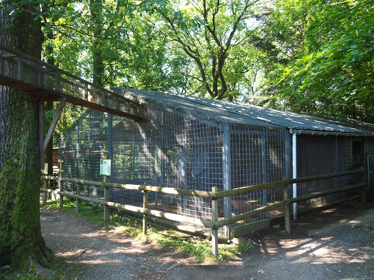 Tunnel between Bolivian squirrel monkey barn and outdoor exhibit, 2023-06-24