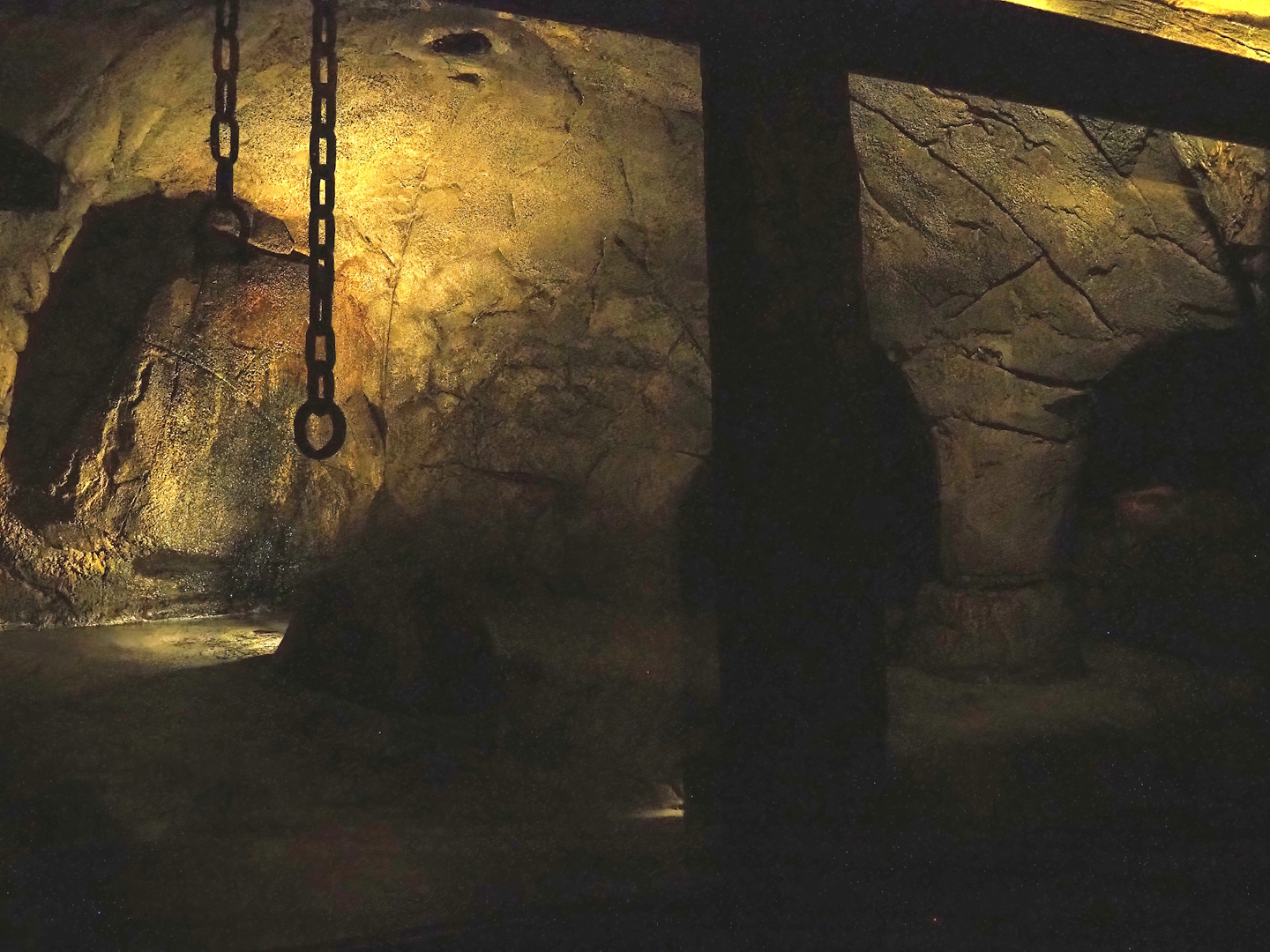 Tunnel between Desert and Bush - Seba's short-tailed bat exhibit, 2023-10-07