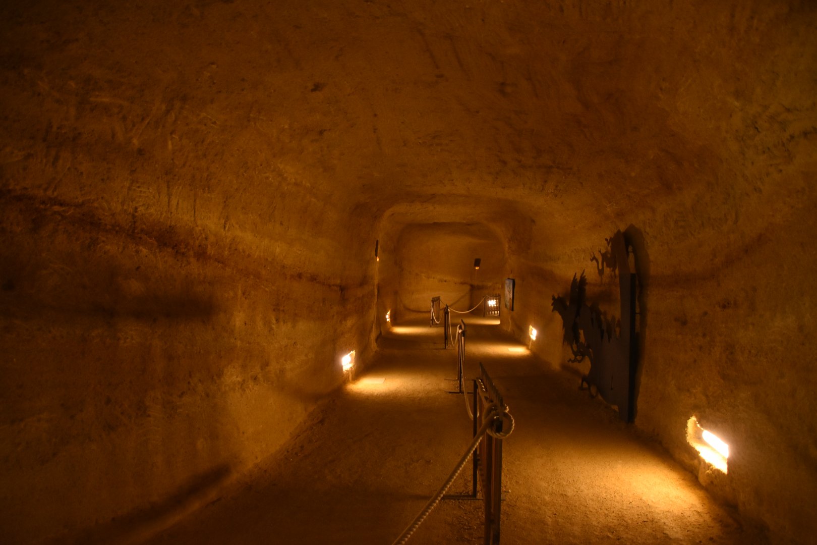 Tunnel between enclosures