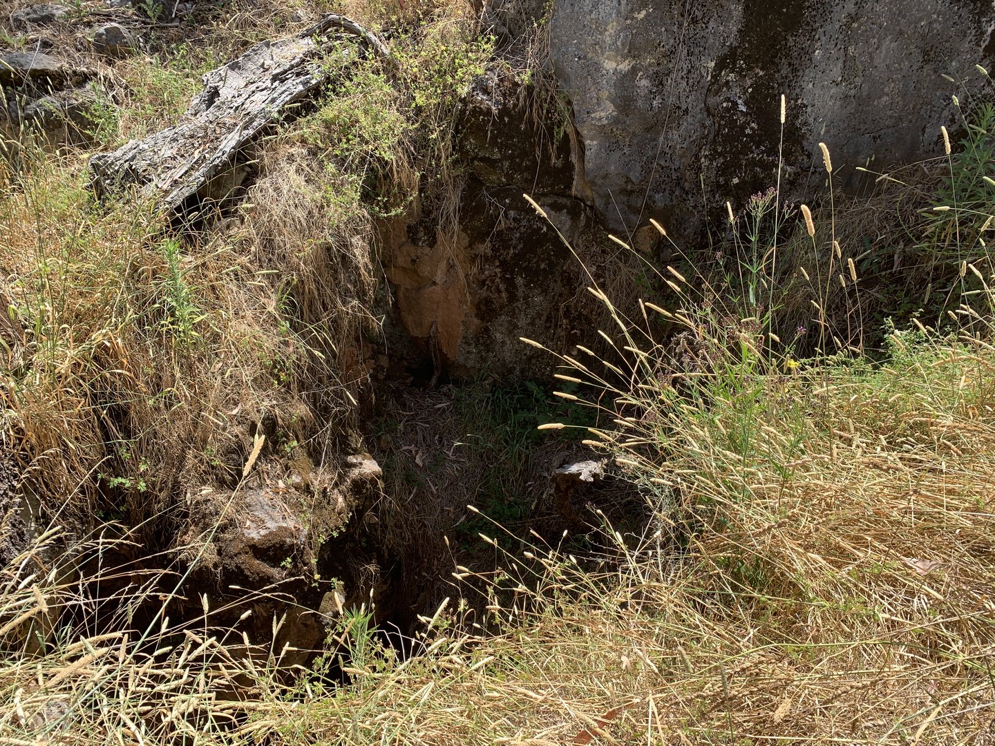 Tunnel Cave (west mouth)